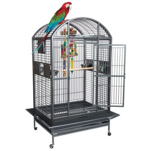 Parrot Cages